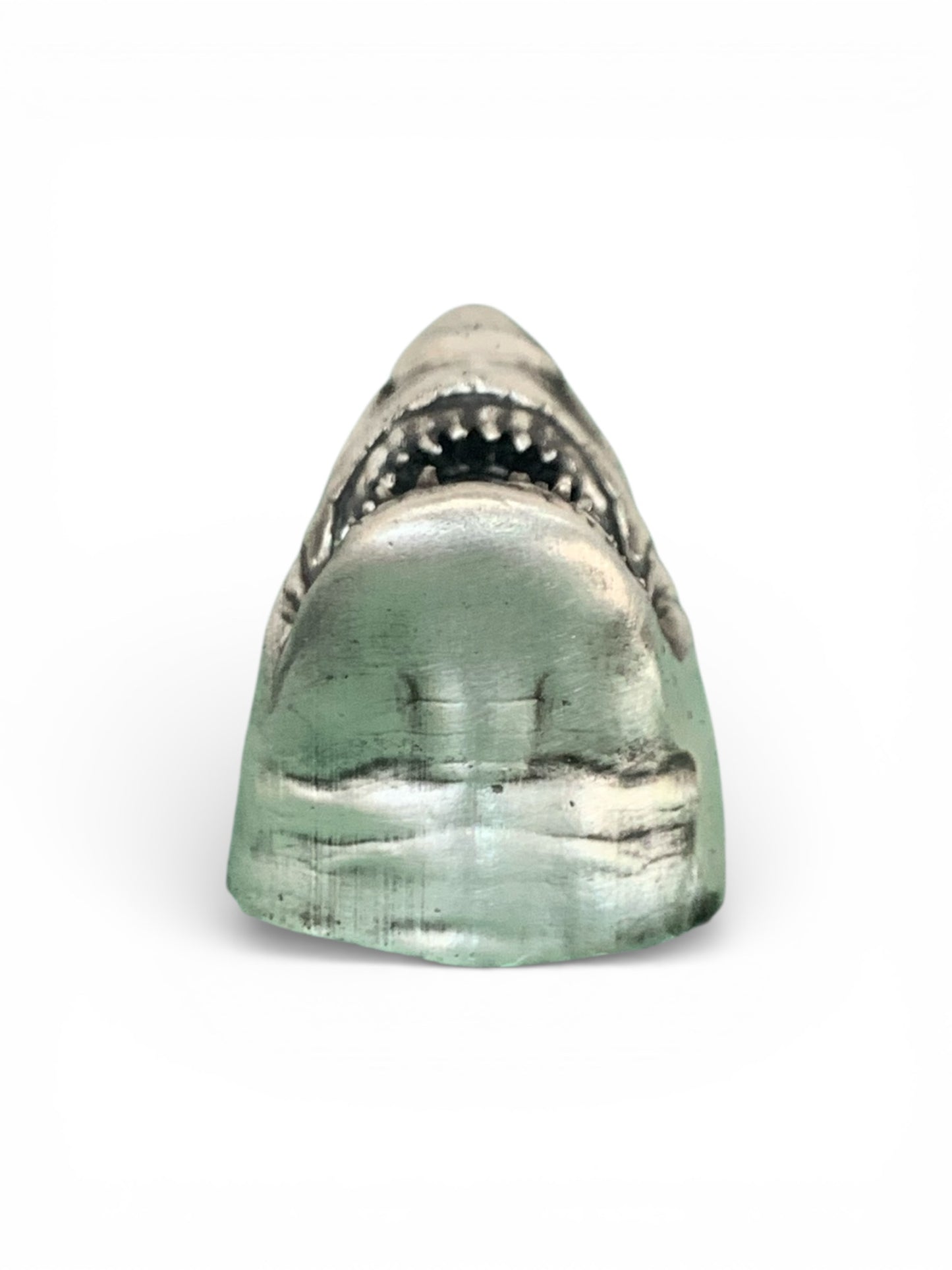 Great White Shark Head