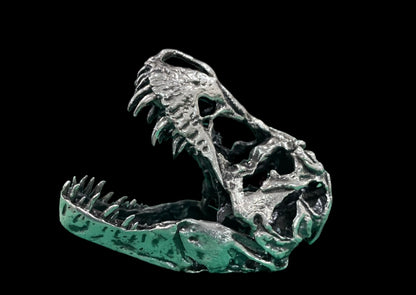 T-Rex Skull