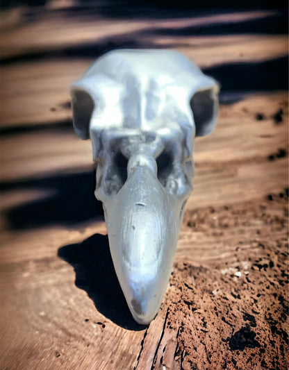 Raven Skull