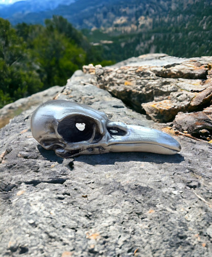 Raven Skull