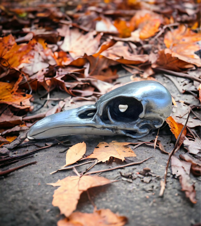 Raven Skull
