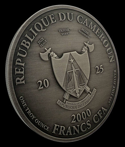 Embrace the Darkness Coin